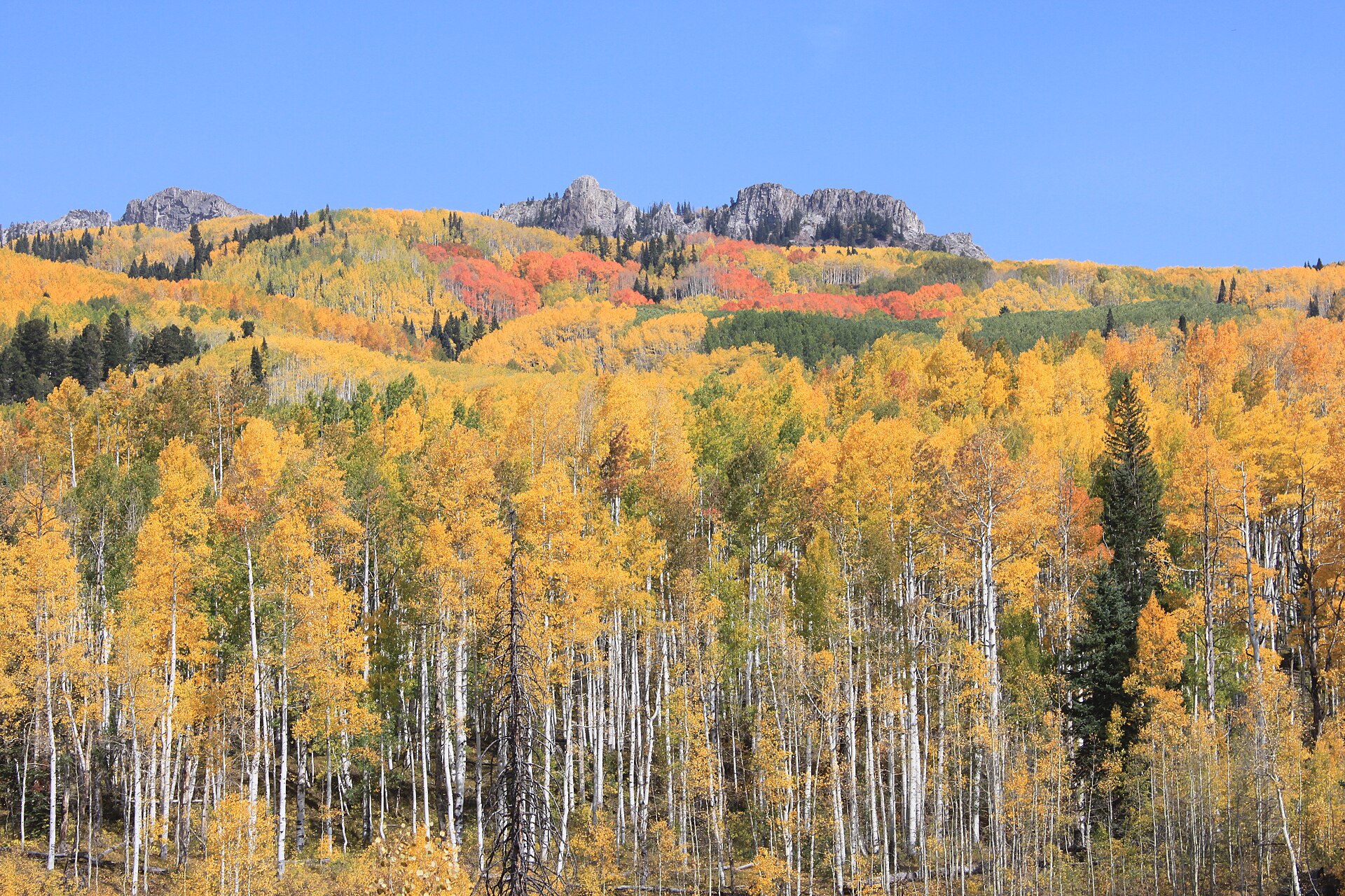 02-kebler-pass.jpg