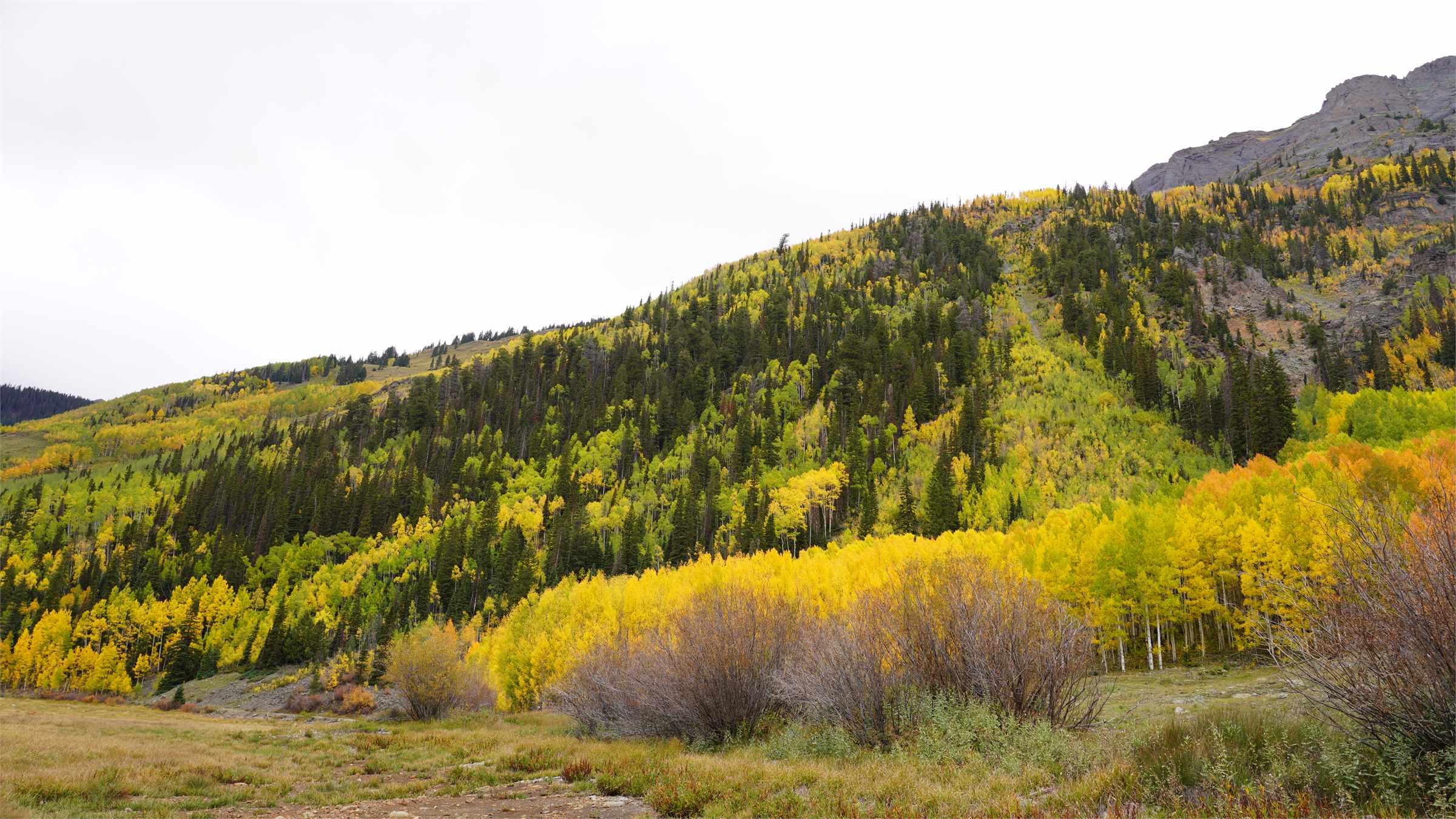 p0924-silv (80).JPG